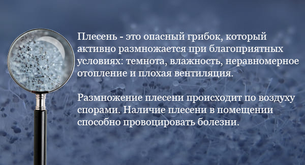Плесень при плохой вентиляции Плесень при плохой вентиляции